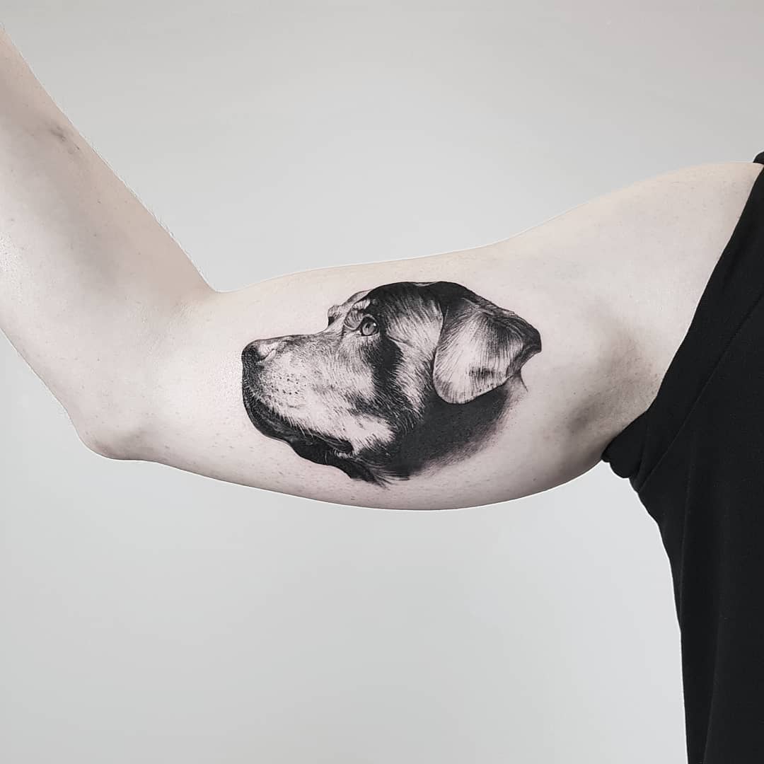 Thommesen Ink Dog Portait Tattoo